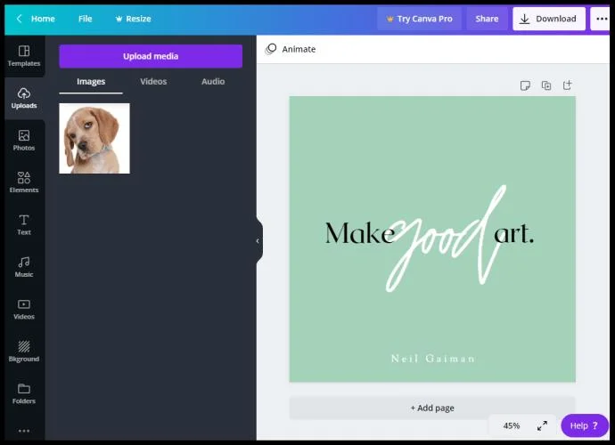 چگونه یک تصویر گرد در Canva درست کنیم