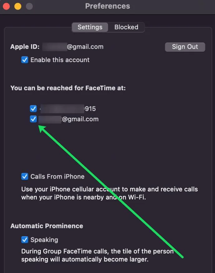 IPhone और iPad पर फेसटाइम कॉल हिस्ट्री कैसे देखें