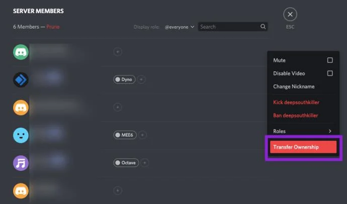 نحوه دسترسی ادمین به کاربر دیگری در Discord