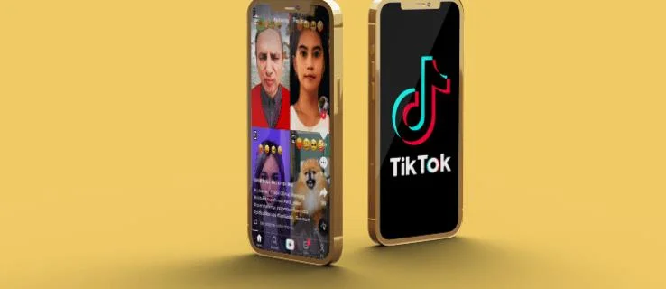 TikTok&nbsp;: vous visitez trop souvent&nbsp;– Solutions suggérées
