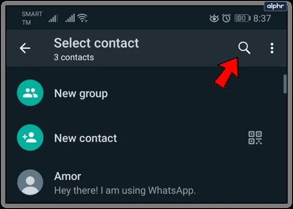 چگونه یک مخاطب بین المللی را به چت یا گروه WhatsApp اضافه کنیم