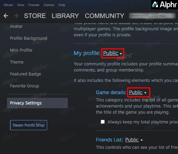 Définir public sur Steam