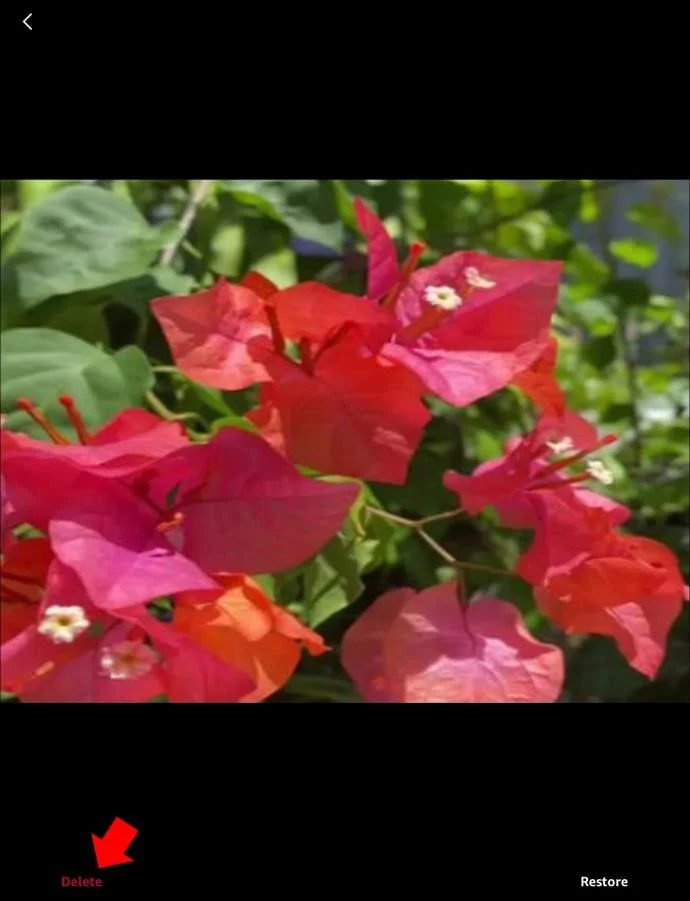 Cara Mengosongkan Sampah Di Foto Amazon
