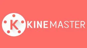 Kinemaster에서 지원되지 않는 파일 형식을 수정하는 방법