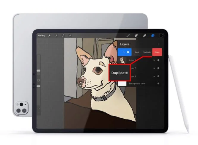 Cara Mencerminkan Objek Dalam Lukisan Dalam Procreate
