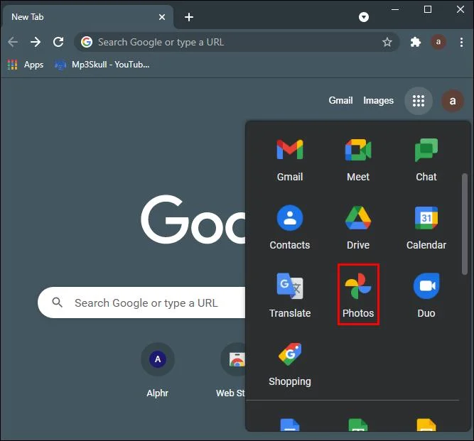Google Foto's interface