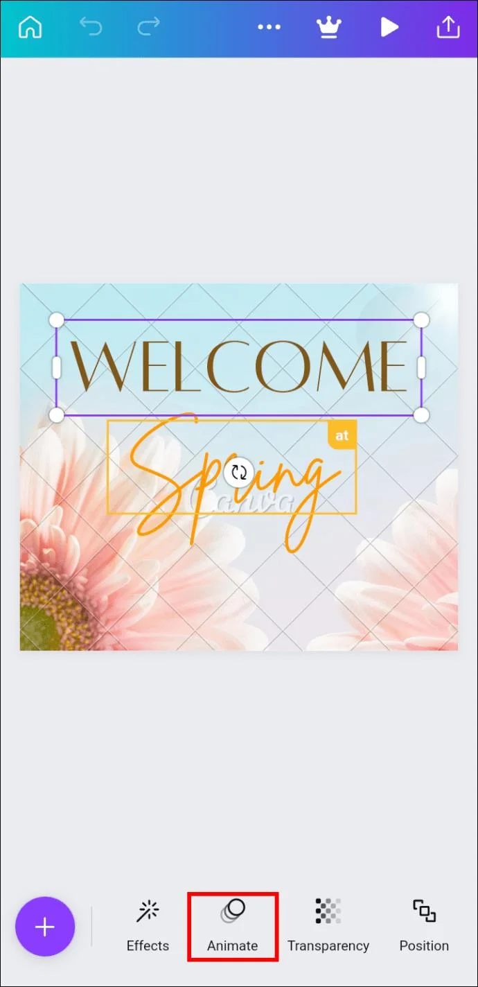چگونه یک انیمیشن را در Canva حذف کنیم
