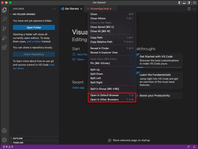 So öffnen Sie im Browser aus VS-Code