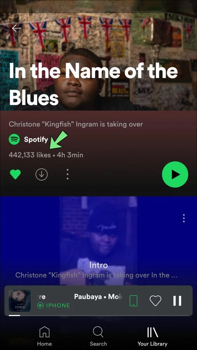 Kun je controleren wie je afspeellijst leuk vond in Spotify?