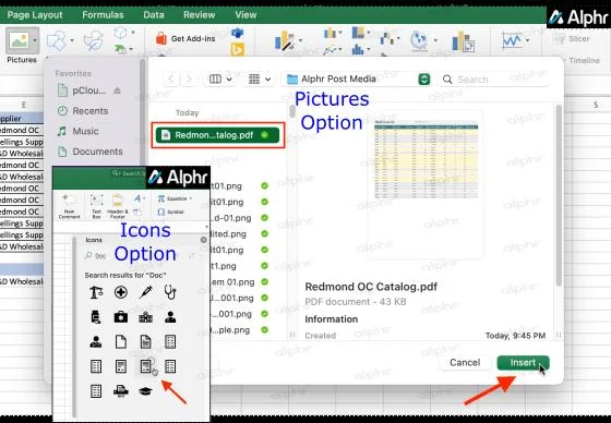 چگونه یک PDF را در یک فایل اکسل جاسازی کنیم