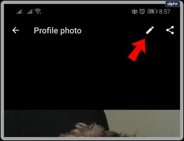 چگونه می توان مخاطب یا تصویر پروفایل خود را در واتس اپ تغییر داد