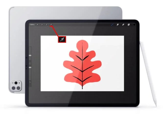 Cara Mencerminkan Objek Dalam Lukisan Dalam Procreate