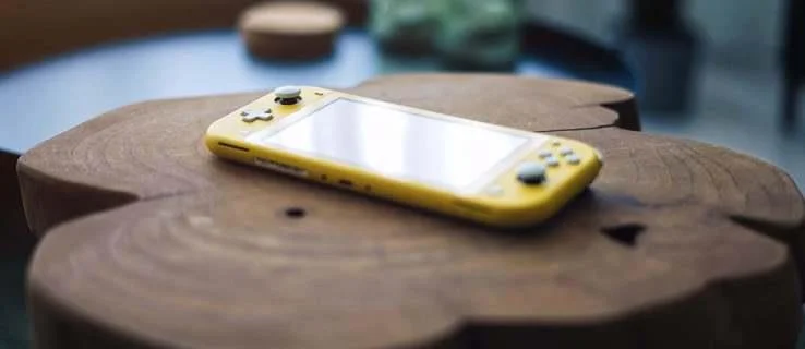 Untuk Apa Port USB Di Nintendo Switch?