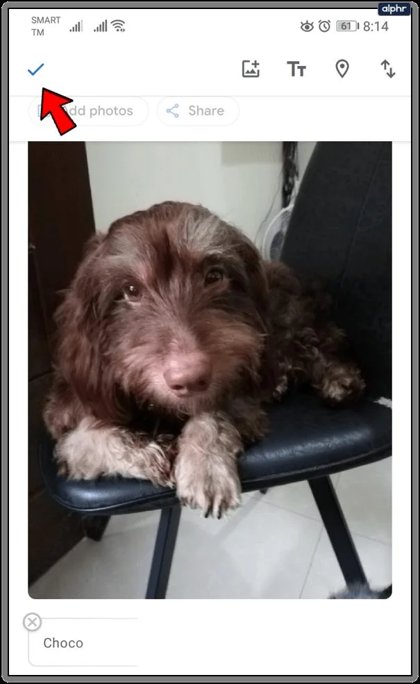 Cómo agregar texto en Google Photos