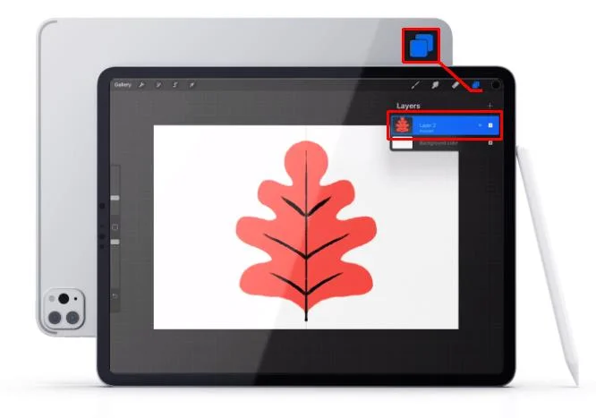 Cara Mencerminkan Objek Dalam Lukisan Dalam Procreate