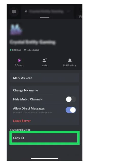 نحوه گزارش سرور Discord