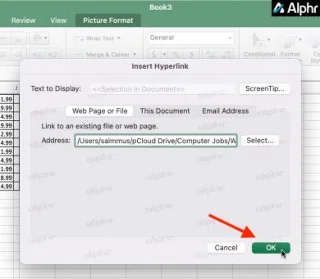 چگونه یک PDF را در یک فایل اکسل جاسازی کنیم