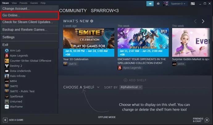 نحوه رفع خطای «نمی‌توان به شبکه Steam وصل شد»