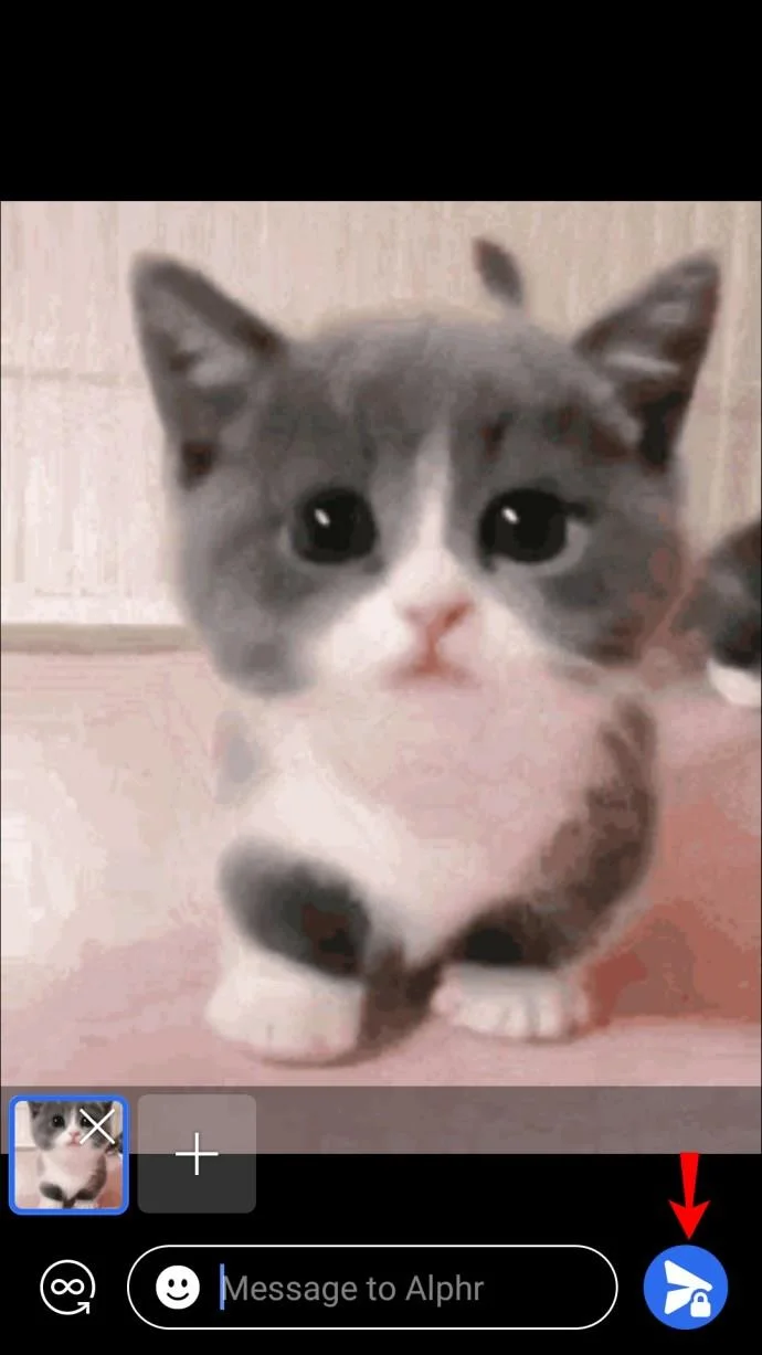 نحوه استفاده از GIF در سیگنال نحوه استفاده از GIF در سیگنال