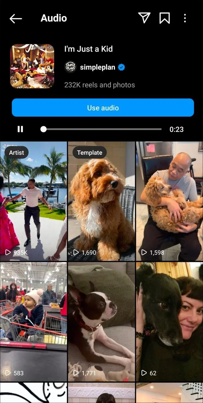 De beste Instagram Reels-nummers