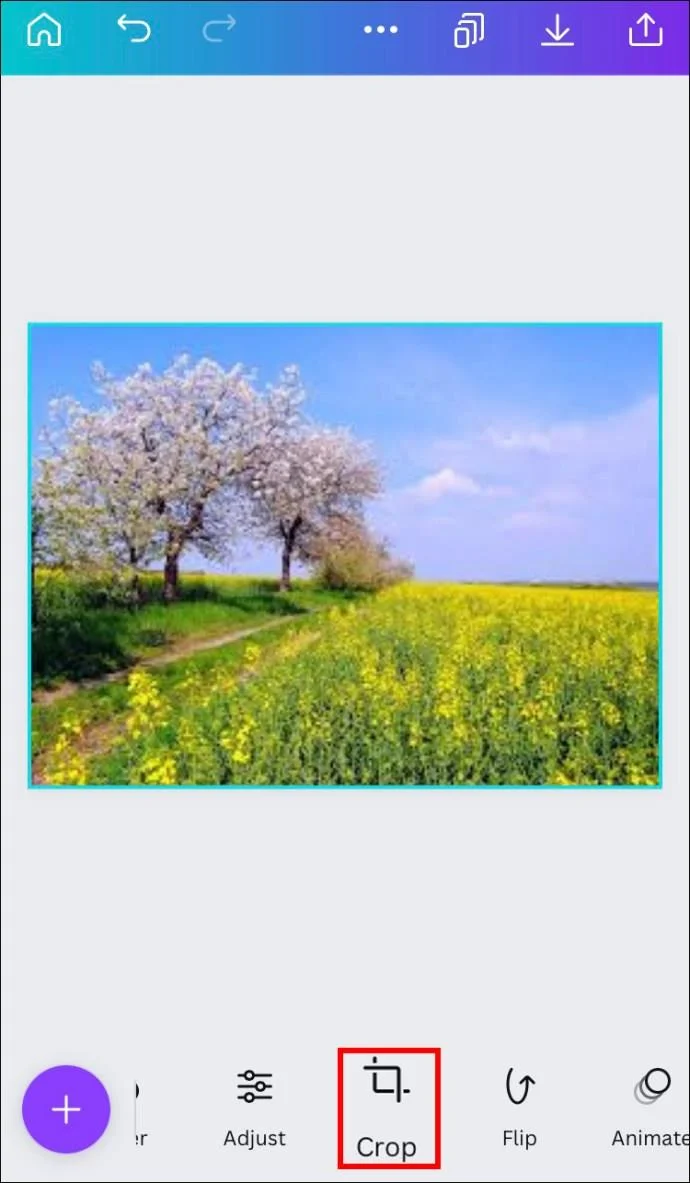 چگونه یک شکل را با یک تصویر در Canva پر کنیم