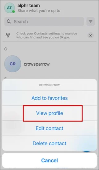 Cara Memblokir Seseorang Di Skype Di Perangkat Apa Pun