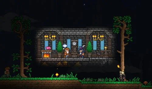 Berapa Banyak NPC yang Ada Di Terraria