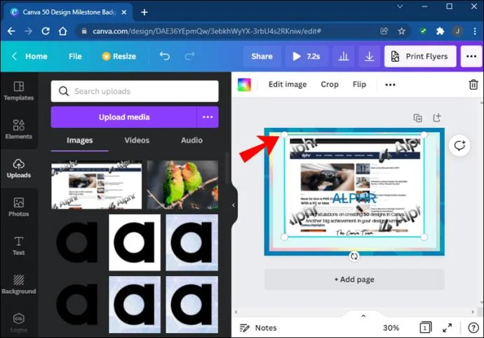 چگونه یک شکل را با یک تصویر در Canva پر کنیم
