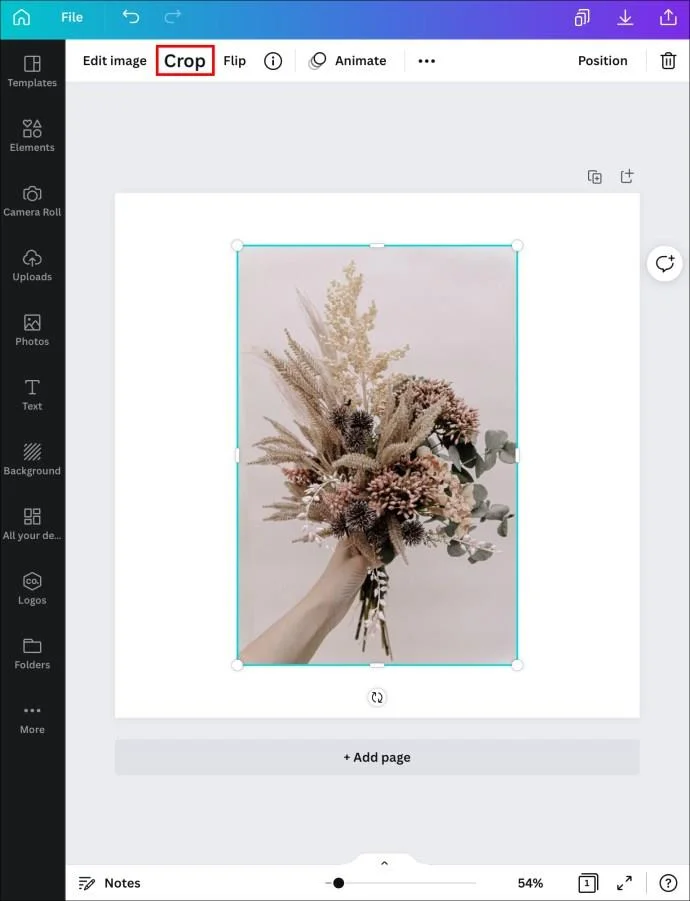 چگونه یک شکل را با یک تصویر در Canva پر کنیم