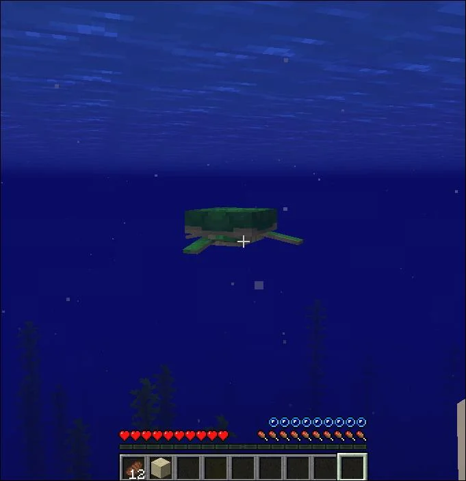 چگونه در Minecraft لاک پشت ها را پرورش دهیم