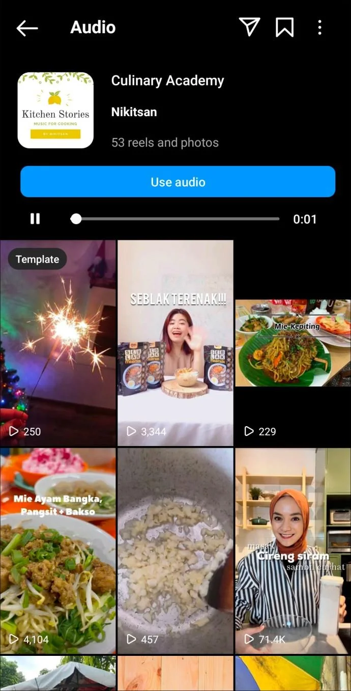 De beste Instagram Reels-nummers