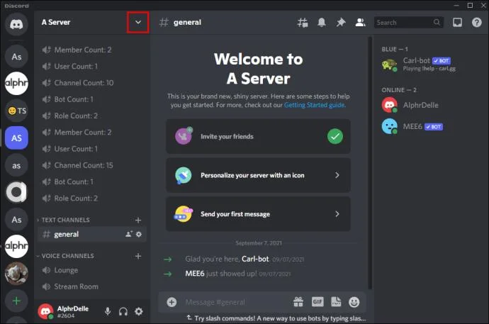 چگونه بررسی کنیم که چه کسی صاحب سرور Discord است