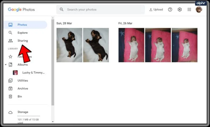 نحوه تغییر Google Photos به یک حساب دیگر