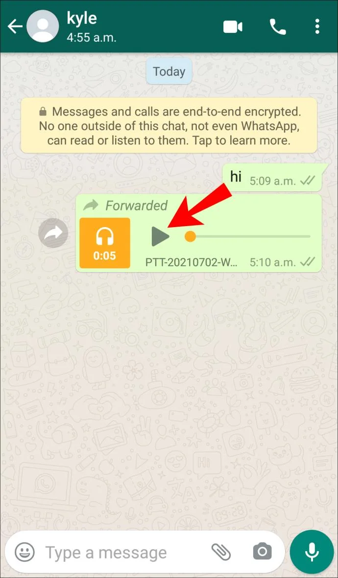 چگونه بفهمیم کسی پیامی را در واتس اپ می خواند؟