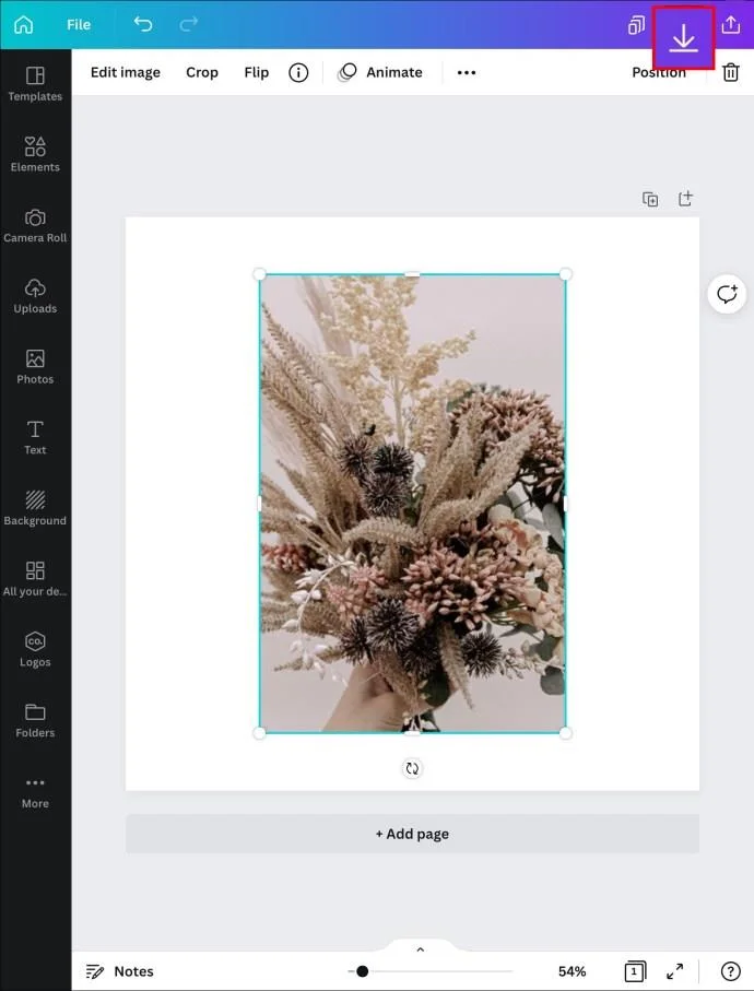 چگونه یک شکل را با یک تصویر در Canva پر کنیم