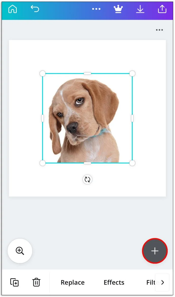 چگونه یک تصویر گرد در Canva درست کنیم