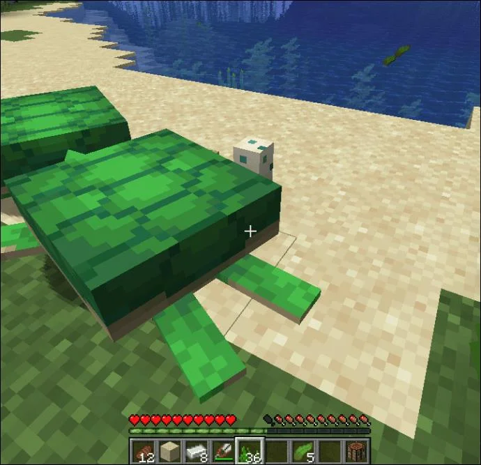چگونه در Minecraft لاک پشت ها را پرورش دهیم