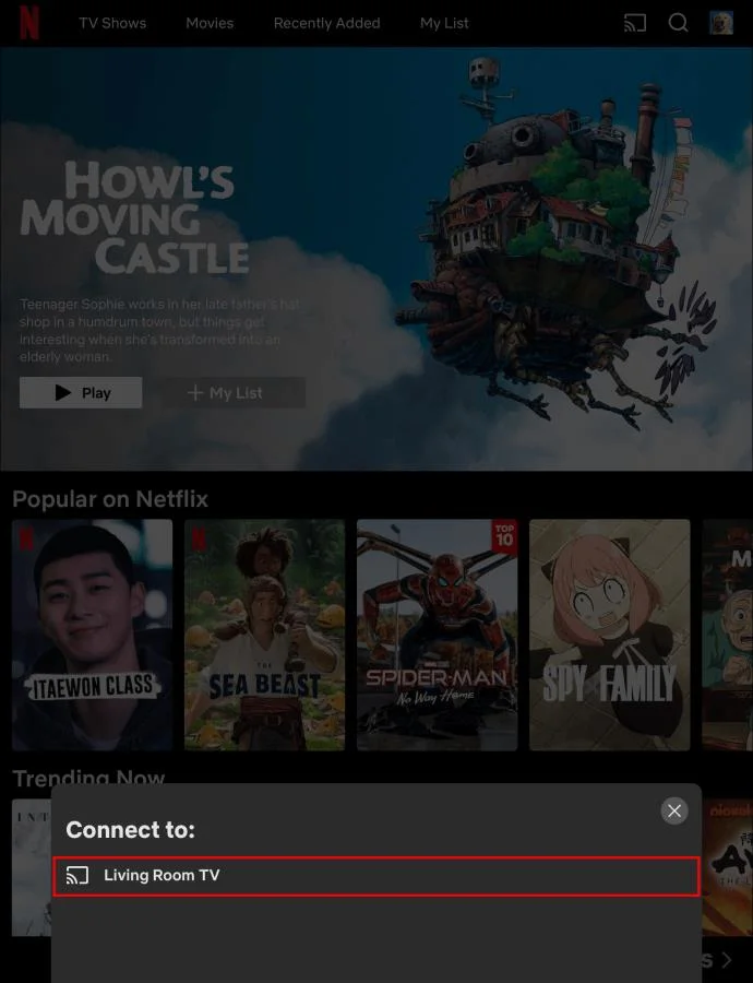 Bir iPad'den Chromecast Nasıl İzlenir