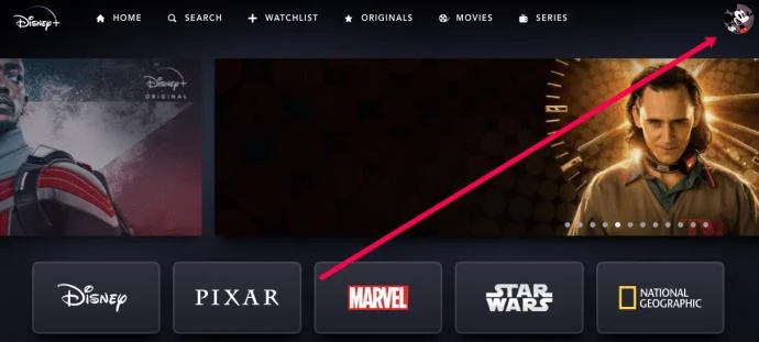 Cómo cerrar sesión en todos los dispositivos en Disney Plus