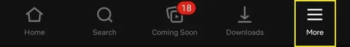 Cómo cambiar el idioma en Netflix [Todos los dispositivos]