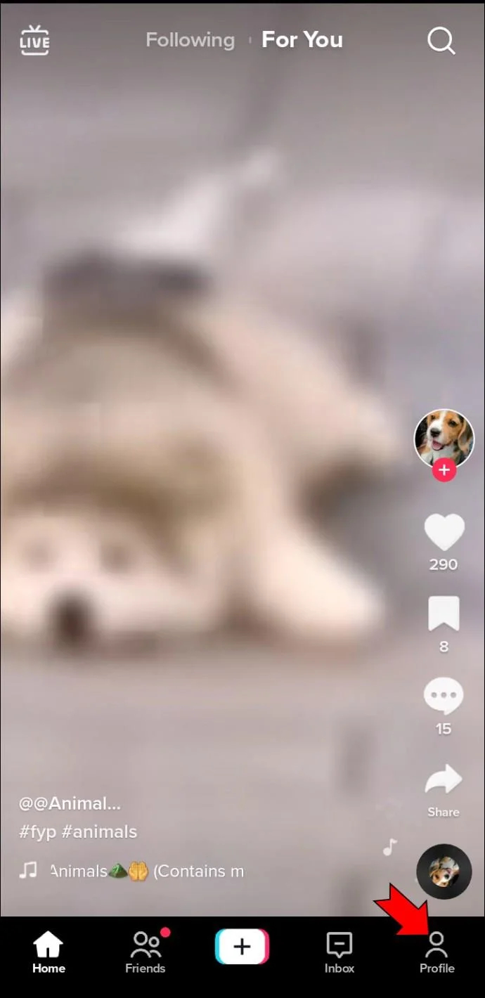TikTok-geluid werkt niet - oplossingen voor Android en iPhone