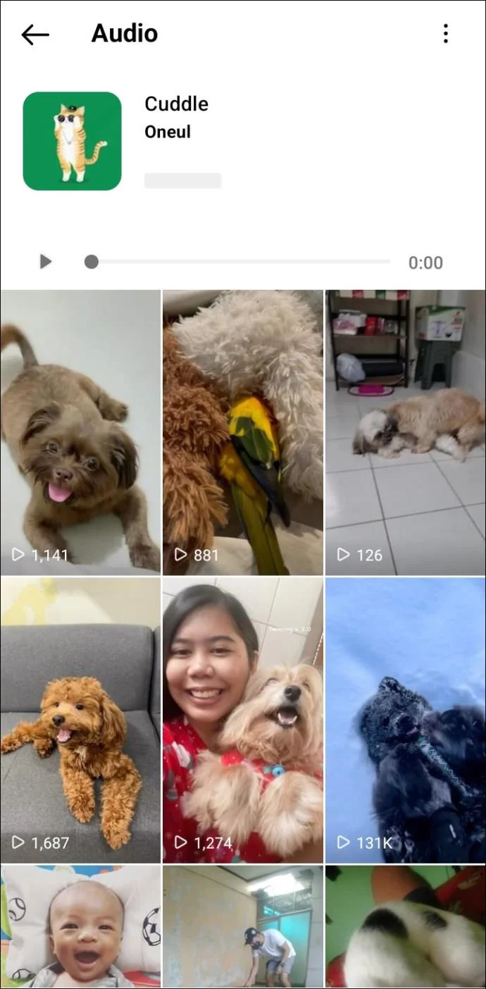 De beste Instagram Reels-nummers