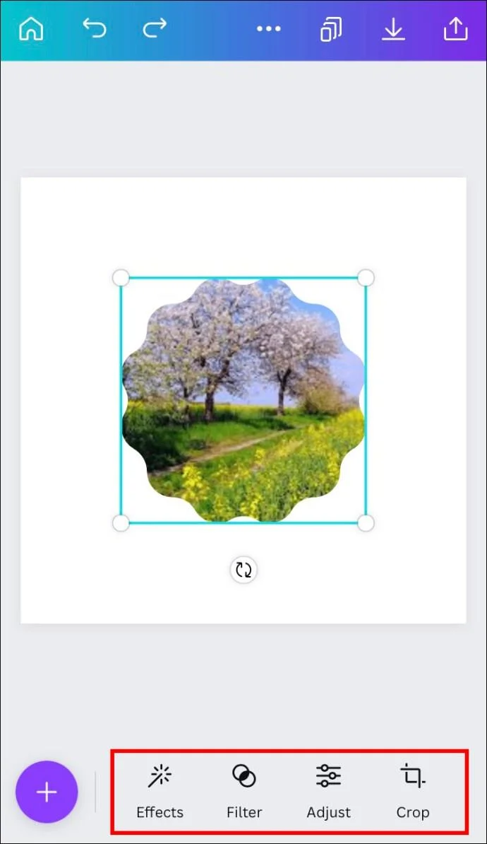 چگونه یک شکل را با یک تصویر در Canva پر کنیم