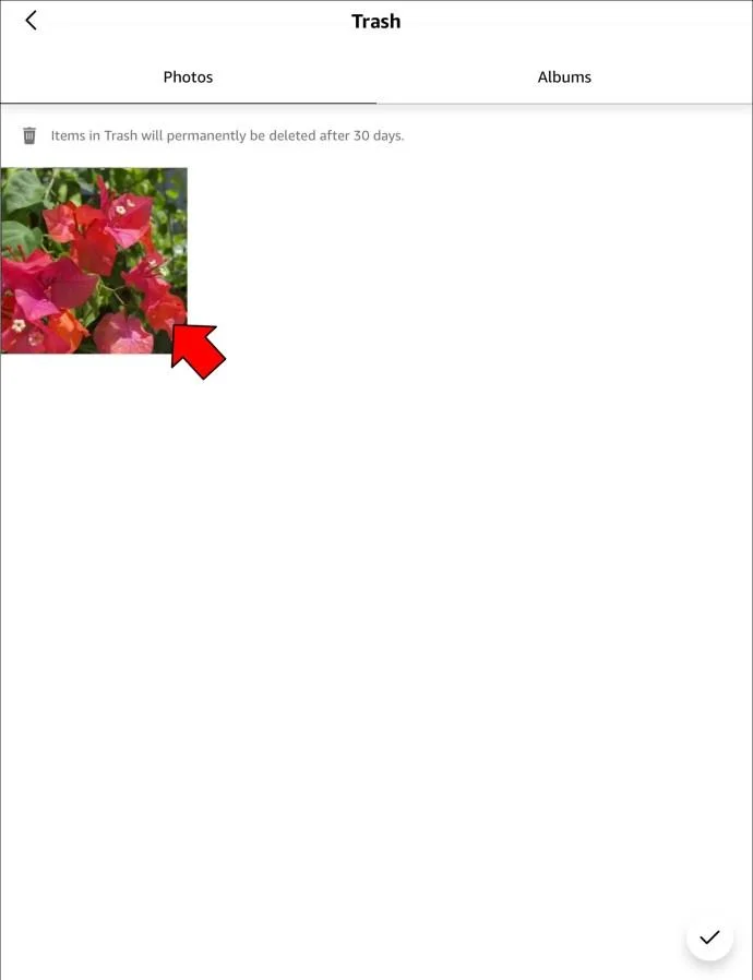 Cara Mengosongkan Sampah Di Foto Amazon