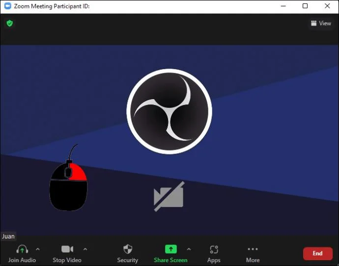 Jak wyświetlać zdjęcia profilowe zamiast wideo podczas rozmowy Zoom