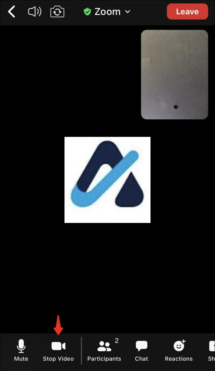 Jak wyświetlać zdjęcia profilowe zamiast wideo podczas rozmowy Zoom