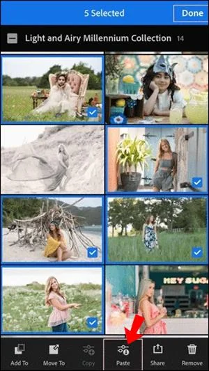 कैसे लाइटरूम में फोटो को बैच में एडिट करें