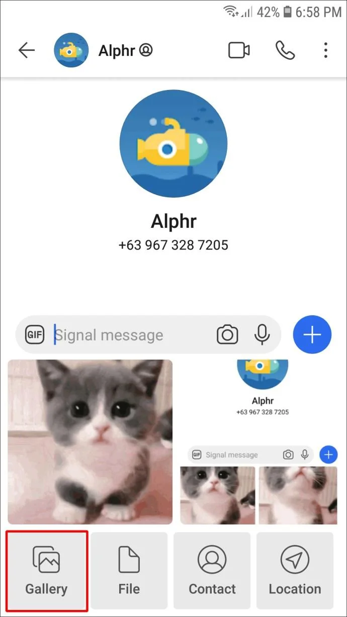 نحوه استفاده از GIF در سیگنال نحوه استفاده از GIF در سیگنال