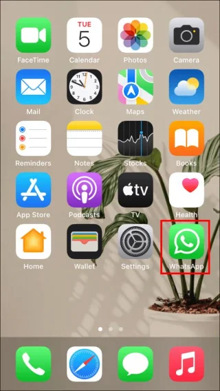 نحوه پیدا کردن مخاطبین در واتس اپ