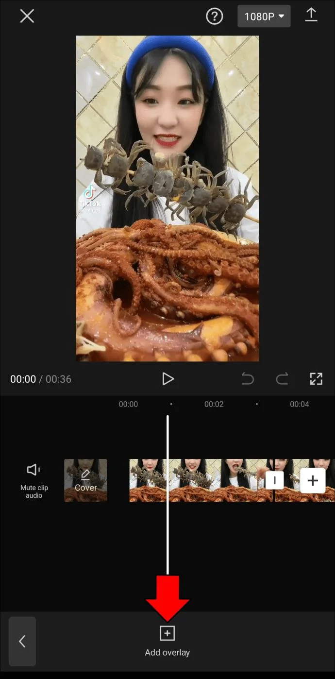 CapCut에서 사진 또는 비디오에 흐림 효과를 추가하는 방법